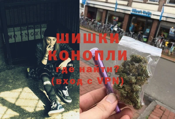 гашик Кедровый