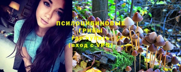 прущая мука Михайловка