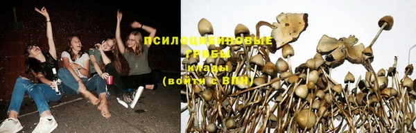 метадон Горняк