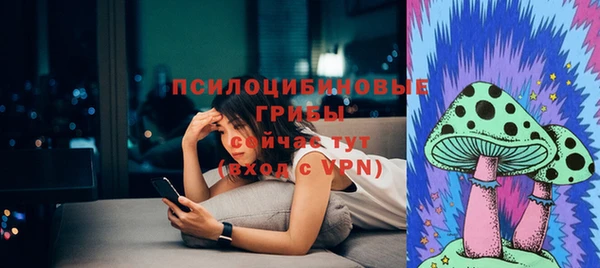 метадон Горняк